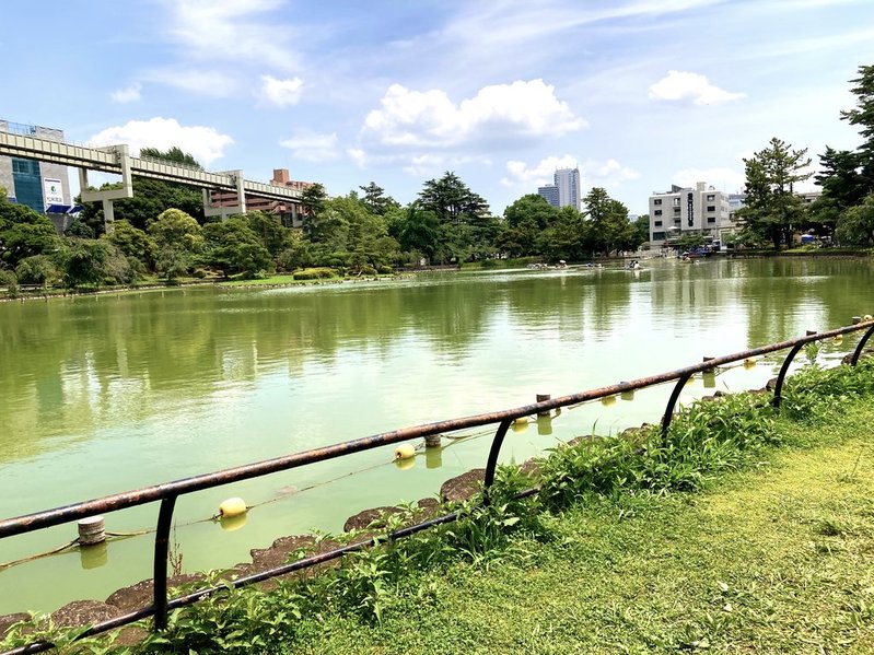 千葉公園　綿打池